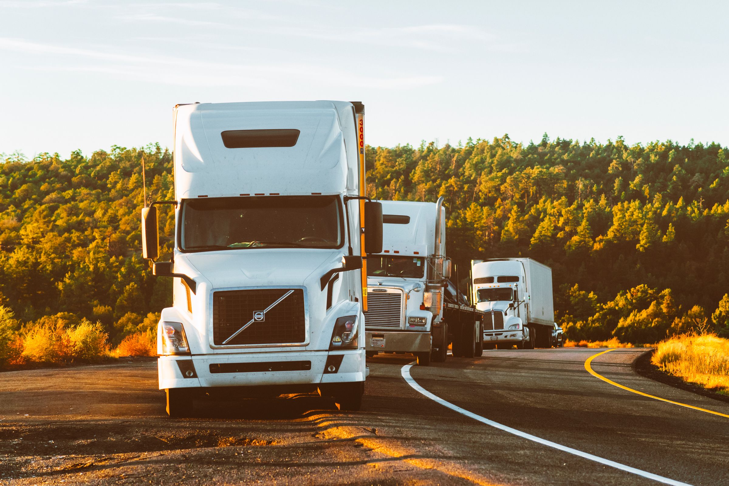 Fleet & Driver Management
